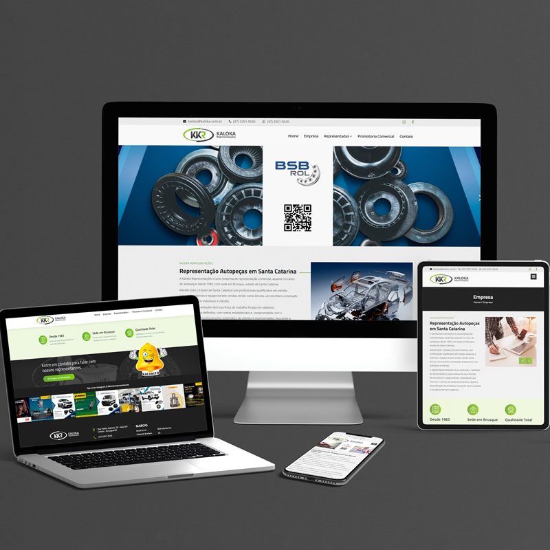 Sites Institucionais - P1 Design - Brusque