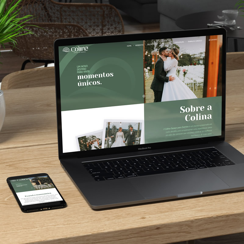 Sites Institucionais - P1 Design - Brusque