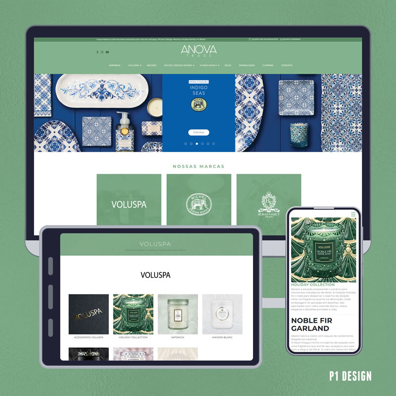 Sites Institucionais - P1 Design - Brusque